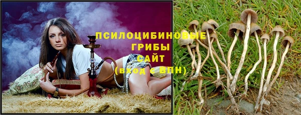 МДМА Горняк